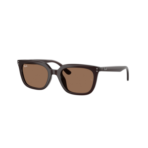 Montura De Sol Ray Ban - RB4439